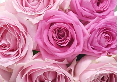 自分を愛し魅力を開花「自分を知り、理想の自分へと現実を変えていく研修」