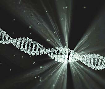 気分・感情について